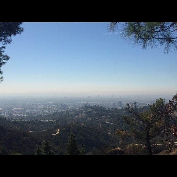 Meet your Posher, Goldie - Picture 1 of 1